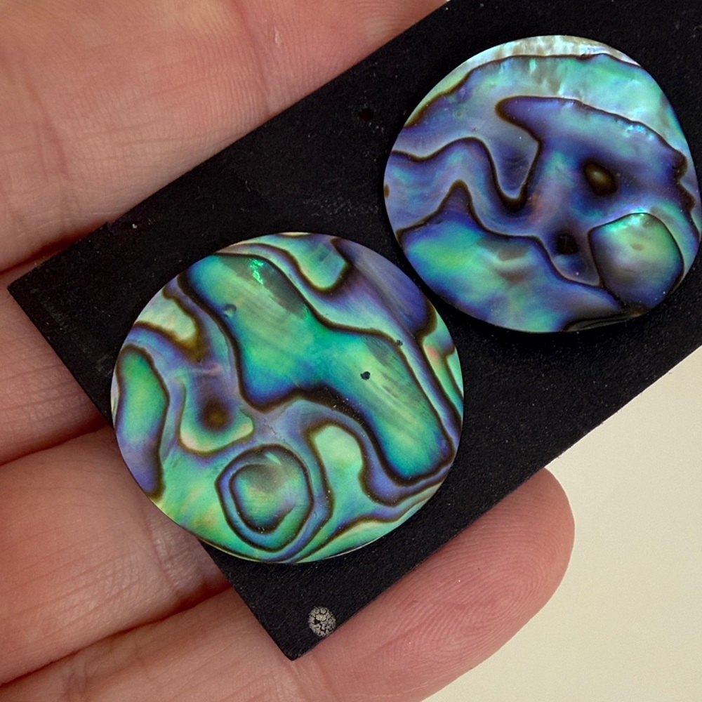 Iridescent Abalone Shell Earrings - image 7